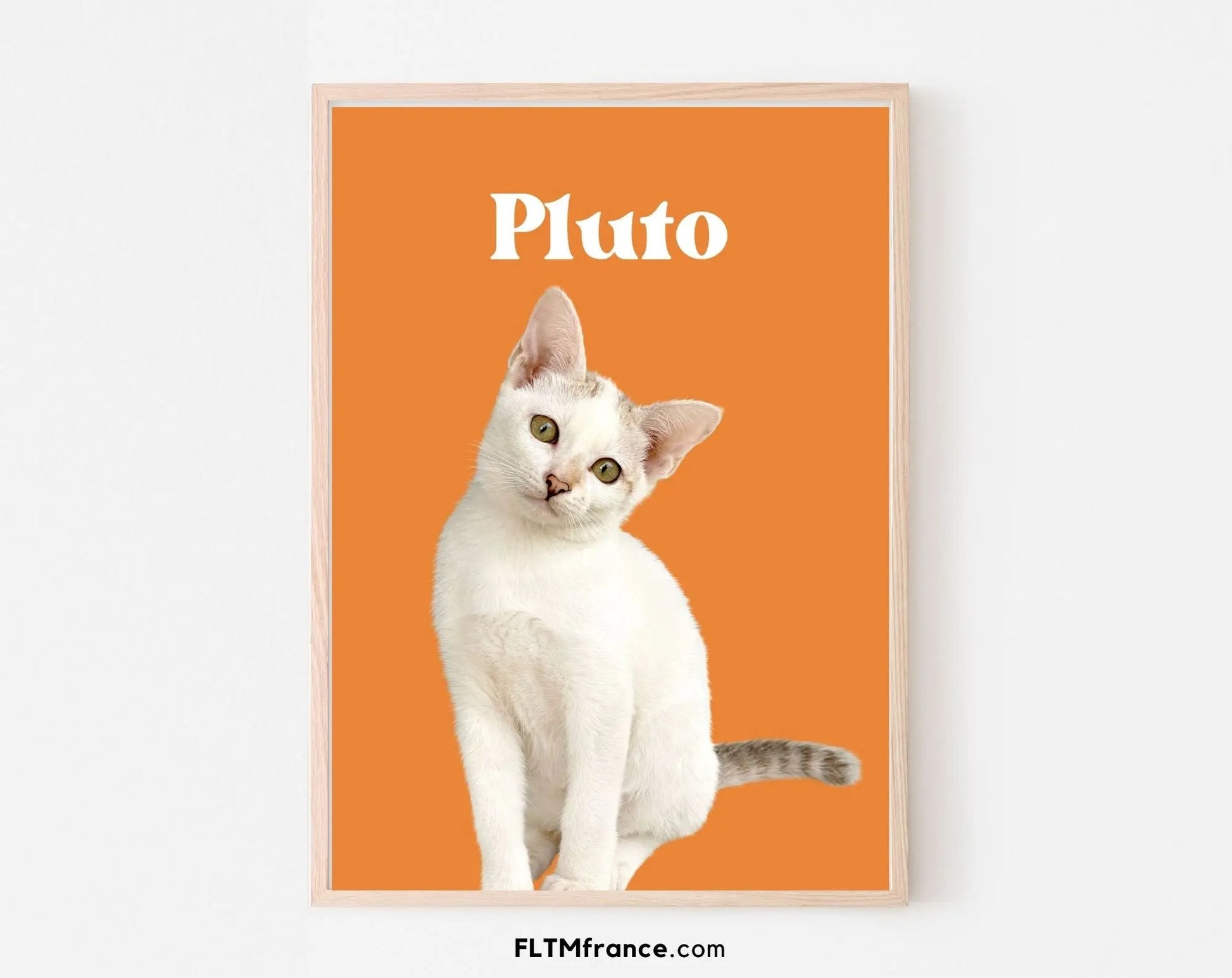 Portrait de chat personnalisé - Affiche animaux de compagnie FLTMfrance