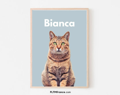 Portrait de chat personnalisé - Affiche animaux de compagnie FLTMfrance