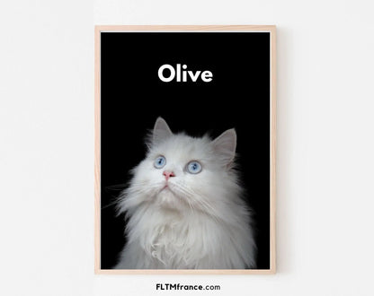 Portrait de chat personnalisé - Affiche animaux de compagnie FLTMfrance