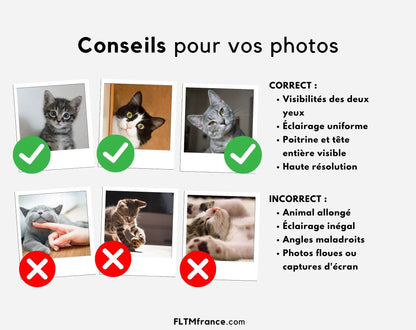 Portrait de chat personnalisé - Affiche animaux de compagnie FLTMfrance