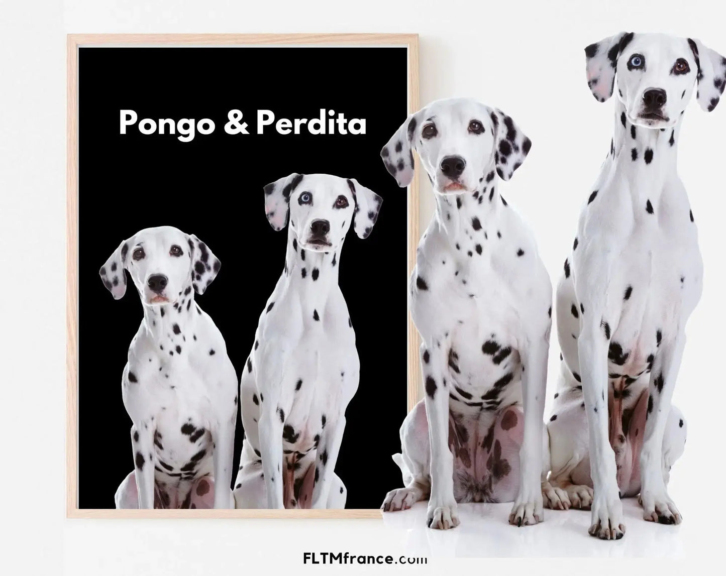 Portrait animal de compagnie - Affiche personnalisée FLTMfrance