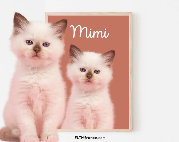 Portrait de chat personnalisé - Affiche animaux de compagnie