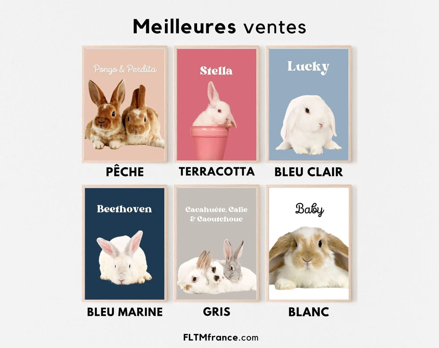 Portrait de lapin personnalisé - Affiche animaux de compagnie FLTMfrance