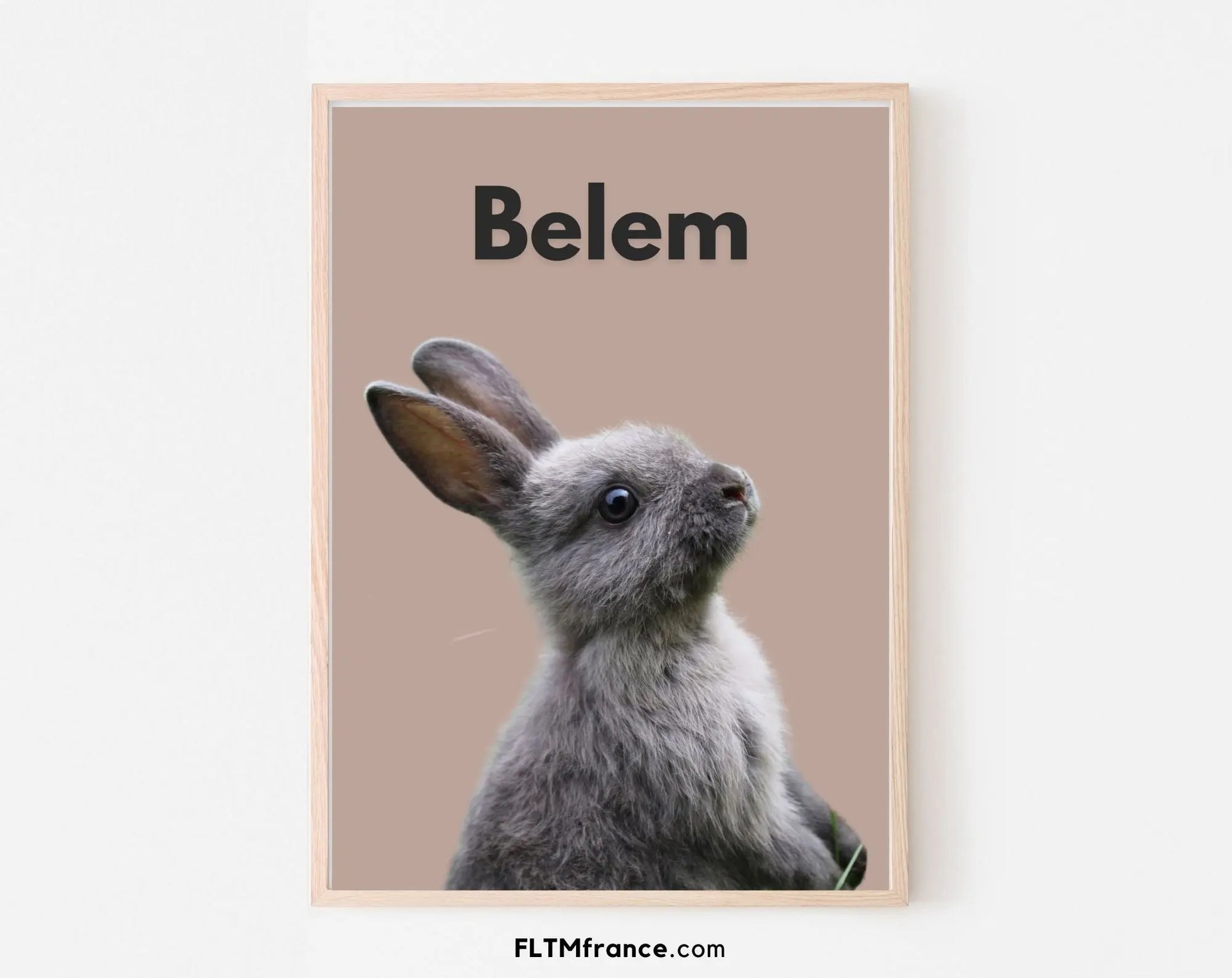 Portrait de lapin personnalisé - Affiche animaux de compagnie FLTMfrance