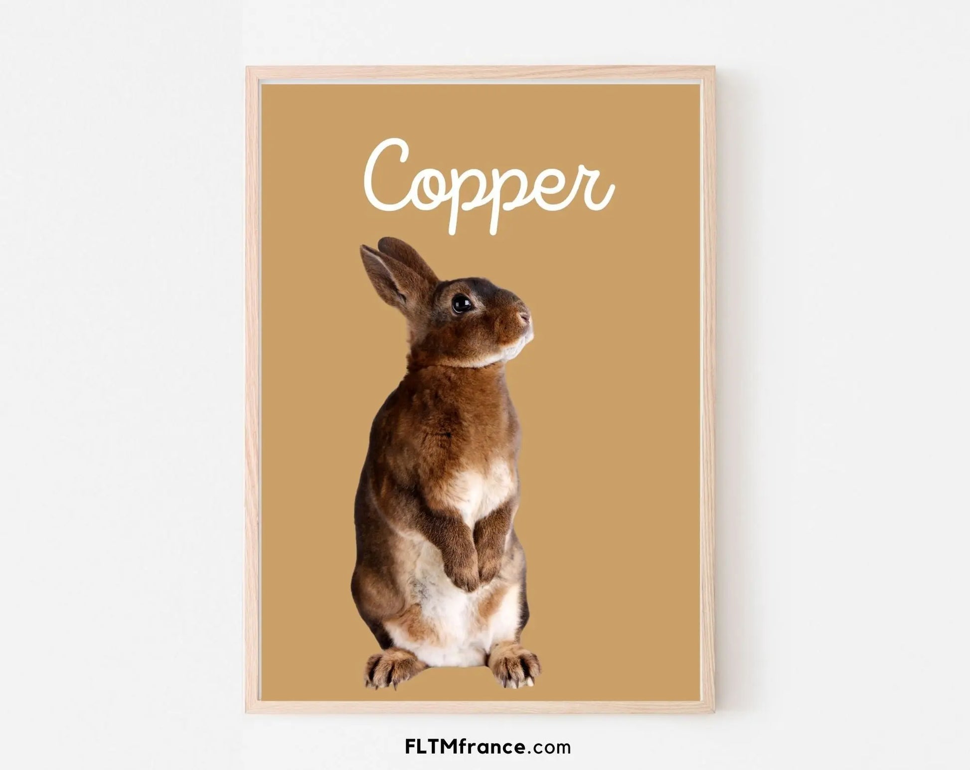 Portrait de lapin personnalisé - Affiche animaux de compagnie FLTMfrance