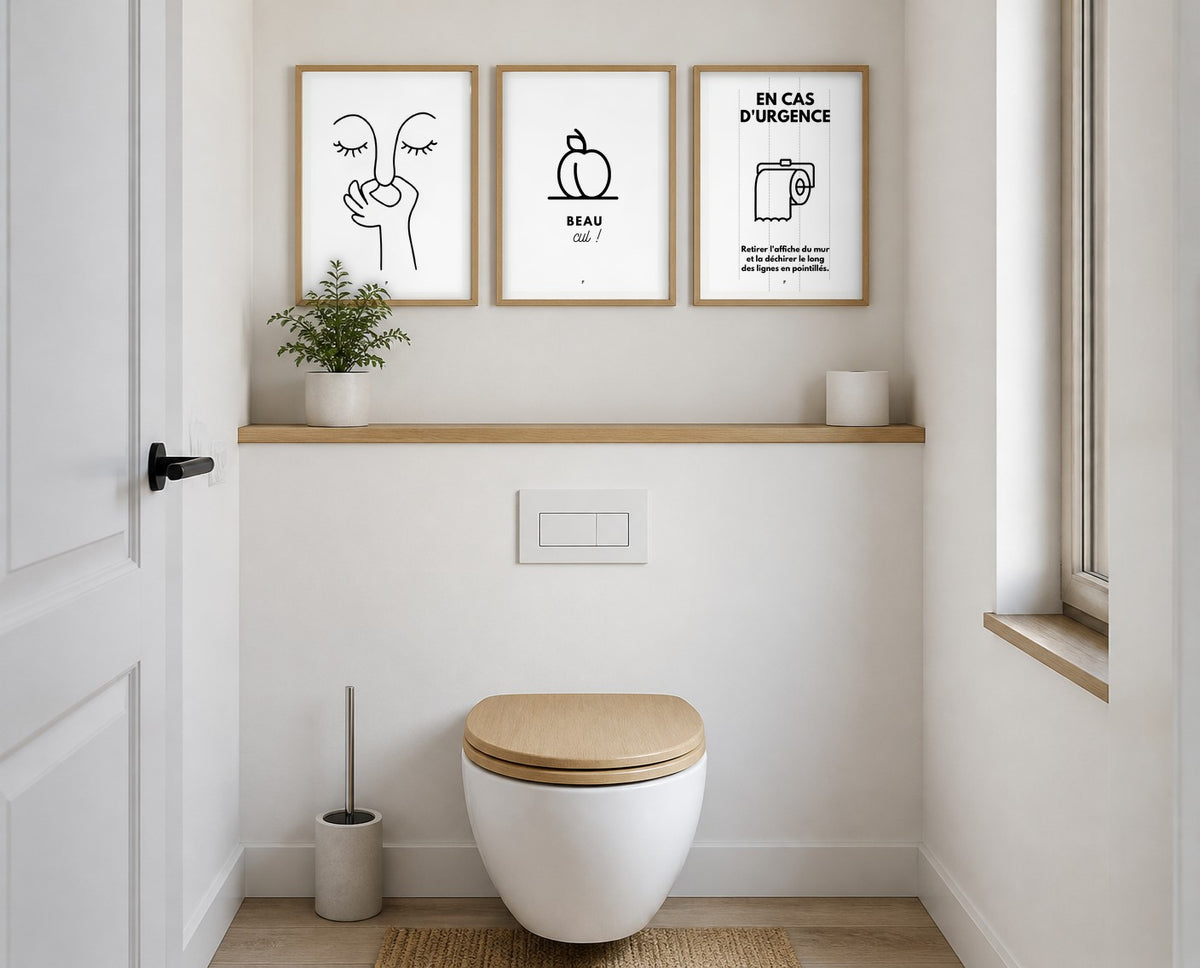 Trois affiches humour WC encadrées au-dessus des toilettes
