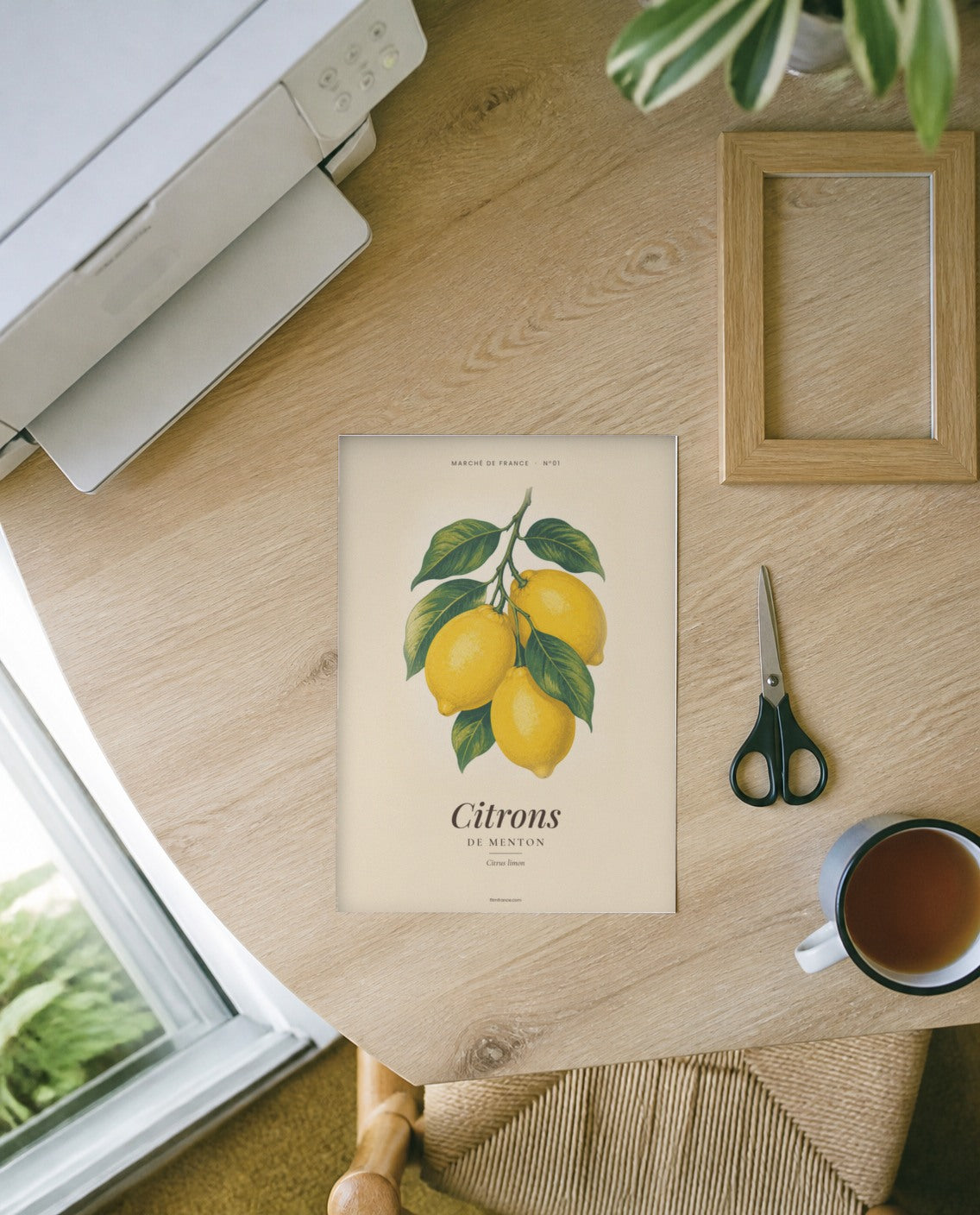 Affiche Citrons de Menton à imprimer encadrée dans une cuisine