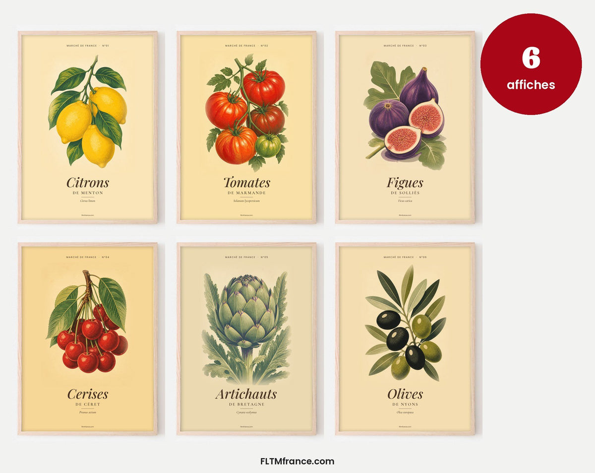Les 6 affiches vintage Marché de France