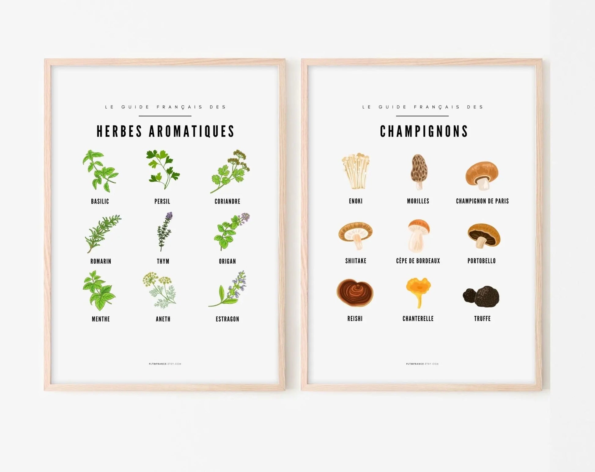 Affiches Guide Herbes aromatiques et champignons - Le guide français FLTMfrance