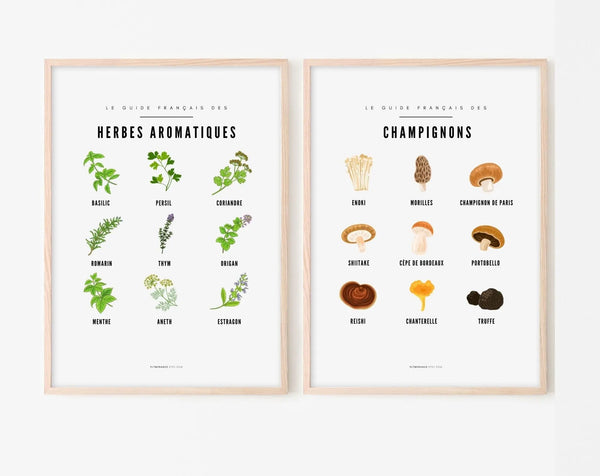 Affiches Guide Herbes aromatiques et champignons - Le guide français