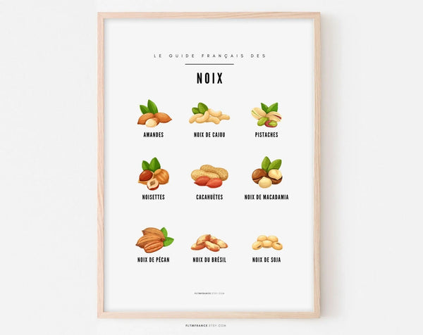 Affiche Noix - Guide des différentes noix