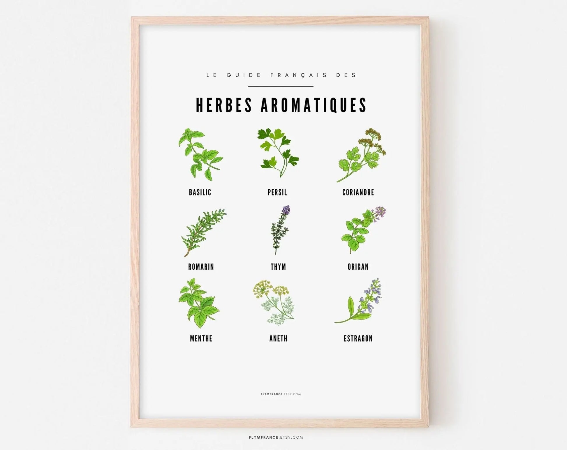 Affiche Herbes aromatiques - Guide des différentes herbes aromatiques et plantes sauvage - Poster à imprimer - Décoration murale FLTMfrance