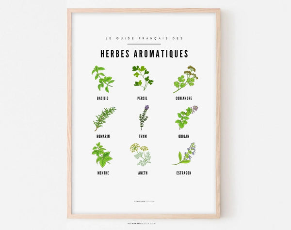 Affiche Herbes aromatiques - Guide des différentes herbes aromatiques et plantes sauvage