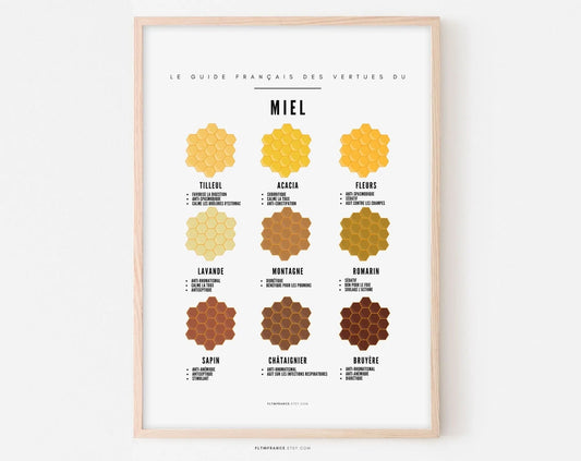 Affiche Miel - Guide des différents miels - Poster à imprimer - Décoration murale affiche pour les amateurs de miel FLTMfrance
