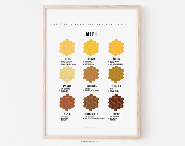 Affiche Miel – Le guide français des vertus du miel