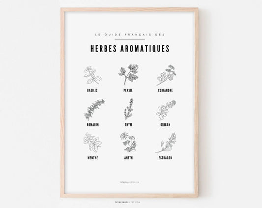 Affiche Herbes aromatiques - Guide des différentes herbes aromatiques et plantes sauvage - Poster à imprimer Décoration murale noir et blanc FLTMfrance