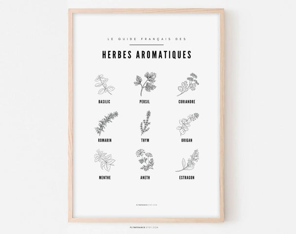 Affiche Herbes aromatiques - Guide des différentes herbes aromatiques et plantes sauvage