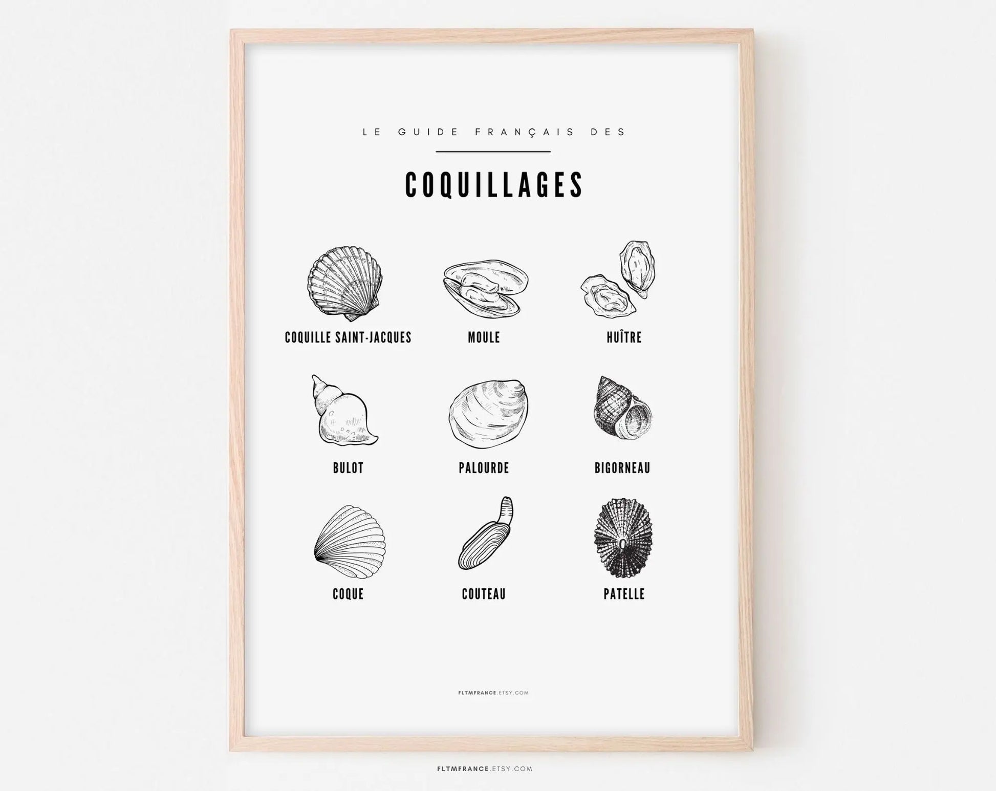 Affiche Coquillage - Guide des différents coquillages - Poster à imprimer - Décoration murale - Huître, moule, bigorneau, palourde,... FLTMfrance