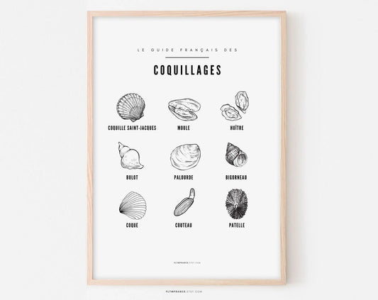 Affiche Coquillage - Guide des différents coquillages - Poster à imprimer - Décoration murale - Huître, moule, bigorneau, palourde,... FLTMfrance