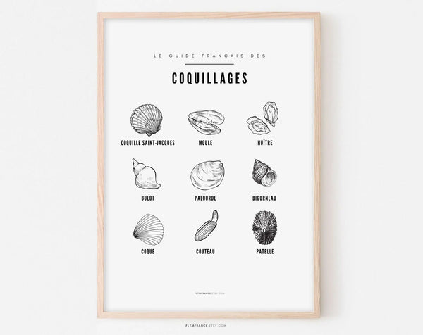 Affiche Coquillage - Affiche cuisine