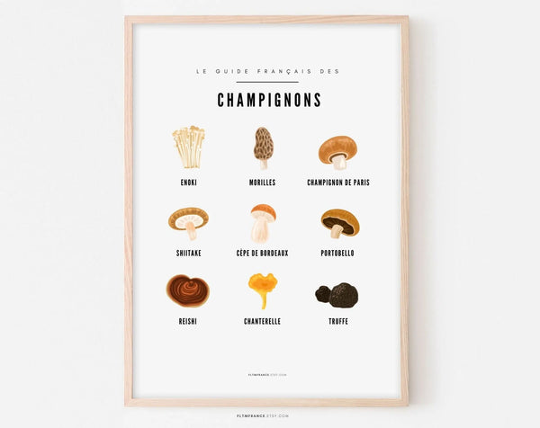 Affiche Champignon - Guide des différents champignons
