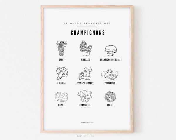 Affiche Champignon - Guide des différents champignons