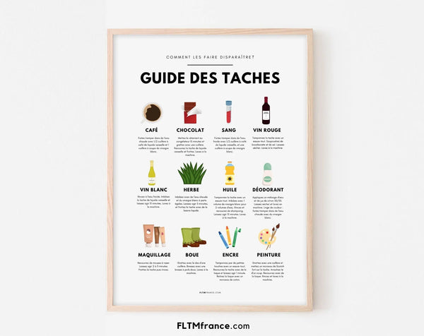 Affiche Colorée Guide d'Élimination des Taches