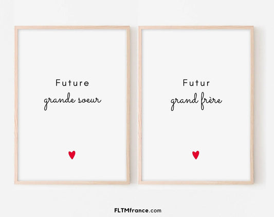Annonce grossesse 2 affiches "Futur grand frère et future grande sœur" - Idée de cadeau original pour l'arrivée d'un bébé dans la famille FLTMfrance