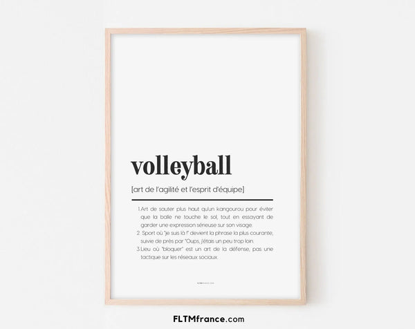 Affiche définition volleyball - Affiche définition humour sport