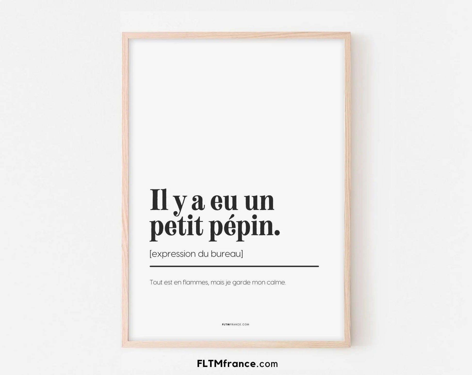 Il y a eu un petit pépin - Expression du bureau - Affiche humour pour la décoration au travail - Poster à imprimer FLTMfrance FLTMfrance